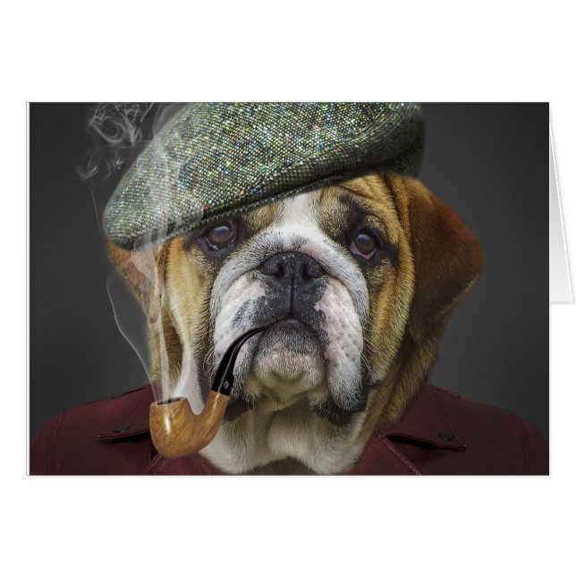 Chien taureau avec Casquette et tuyau (Devant horizontal)