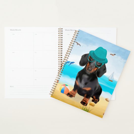 Chien teckel sur la plage  (Devant avec enveloppe)