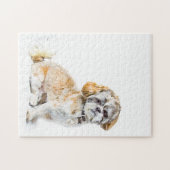 Chien Tzu Puzzle (Horizontal)