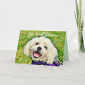 Chien vert frais et encouragement obtenir carte de (Devant)