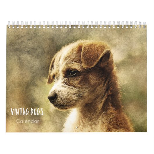 Chien vintage calendrier 2023 (Protection)