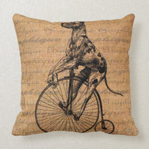 Chien vintage sur le coussin de bicyclette