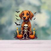 Chien Vizsla Voodoo (Neutre)