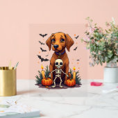 Chien Vizsla Voodoo (Mariage)