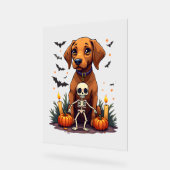 Chien Vizsla Voodoo (Angle)