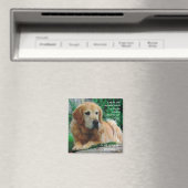 Chiens aimant (In Situ (Lave-vaisselle))