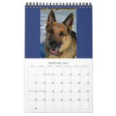CHIENS ALLEMANDS SHEPHERD - Calendrier d'une page (Feb 2027)