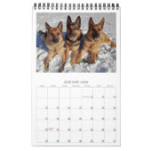 CHIENS ALLEMANDS SHEPHERD - Calendrier d'une page (Jan 2026)