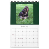 CHIENS ALLEMANDS SHEPHERD - Calendrier d'une page (Mar 2026)