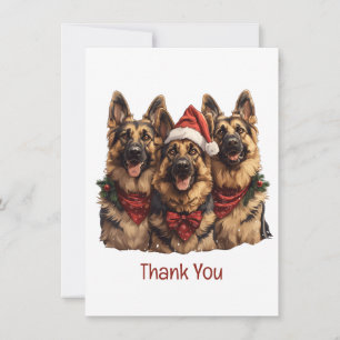 Chiens bergers allemands de Noël Merci