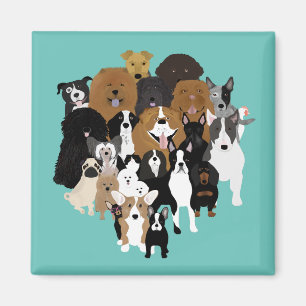 Chiens, Chat, Aimant au poulet