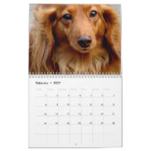 Chiens, Chiens, Calendrier des Chiens (Feb 2027)