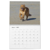 Chiens, Chiens, Chiens 2025 Calendrier (Mar 2027)