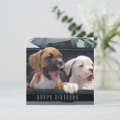 Chiens d'anniversaire heureux Faire-part de Chiens (Debout devant)