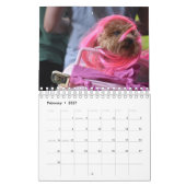 Chiens dans le calendrier des costumes 2019 (Feb 2027)