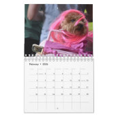 Chiens dans le calendrier des costumes 2019 (Feb 2026)