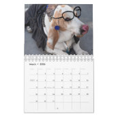 Chiens dans le calendrier des costumes 2019 (Mar 2026)