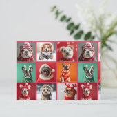 Chiens dans les Cartes de remerciements de Sweater (Debout devant)