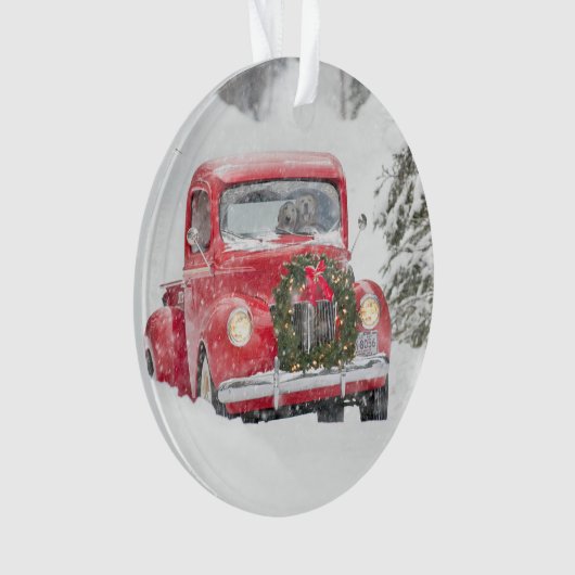 Chiens dans un camion (devant)