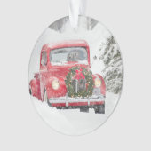 Chiens dans un camion (devant)