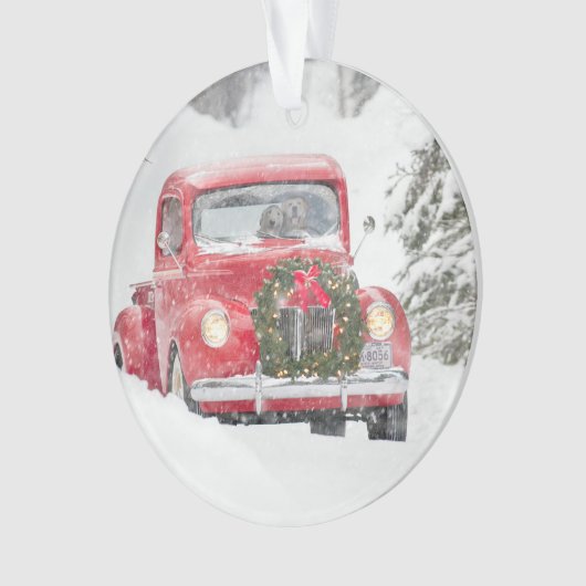 Chiens dans un camion (devant)