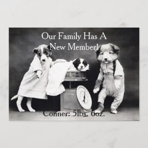 Chiens de B&W vintages Nouveau Faire-part de chiot