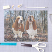 Chiens de basset dans le papier de soie de soie en (Artisanat)