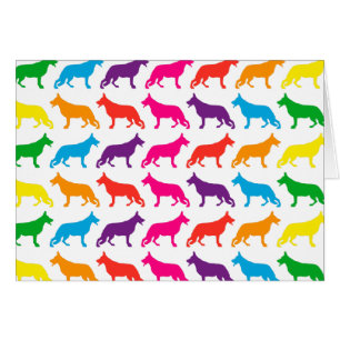 Chiens de berger arc-en-ciel