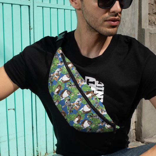 Chiens de berger australiens australiens Aussies F