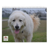 Chiens de calendrier du Bluebonnet 2018 (Protection)