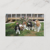 Chiens de cartes de visite professionnelle de (Dos)