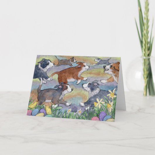 Chiens de chasse aux oeufs, carte Collie frontaliè (Devant)