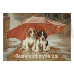 Chiens de chien Basset sous le parapluie CC0190 Tr