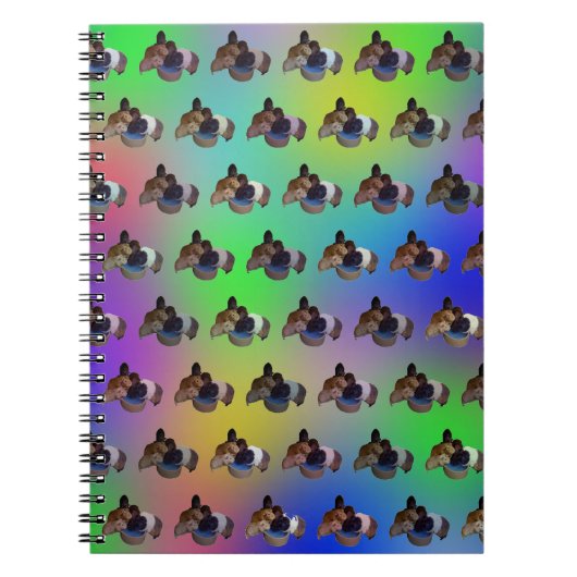 Chiens de Guinée arc-en-ciel, Carnet (Devant)