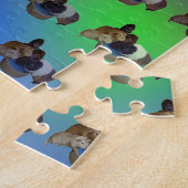 Chiens de Guinée arc-en-ciel, Puzzle (Côté)