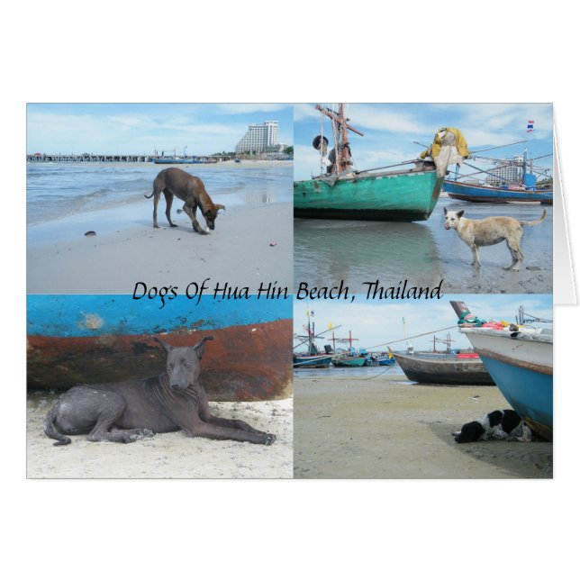 Chiens De Hua Hin Beach, Thaïlande (Devant horizontal)
