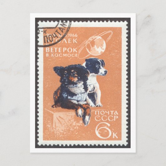 Chiens de l'espace carte postale Vétérinaire et Ug (Devant)