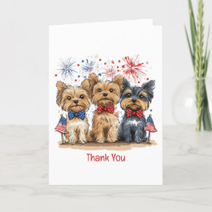 Chiens de Merci 4 juillet Yorkshire Terrier
