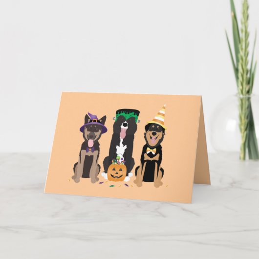 Chiens De Merci En Costumes Halloween (Devant)