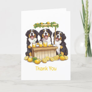 Chiens de montagne bernois Merci Stand de limonade