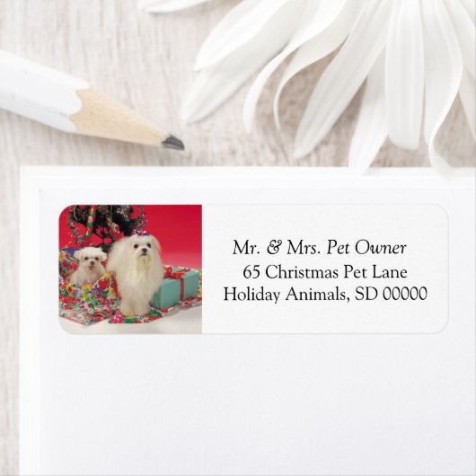 Chiens de Noël AutoAdhésif Retours Adresse Sticker (En situation)