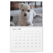 Chiens de petite Secourt Calendrier de 12 mois (Jan 2026)