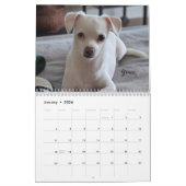 Chiens de petite Secourt Calendrier de 12 mois (Jan 2026)