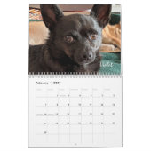 Chiens de petite Secourt Calendrier de 12 mois (Feb 2027)