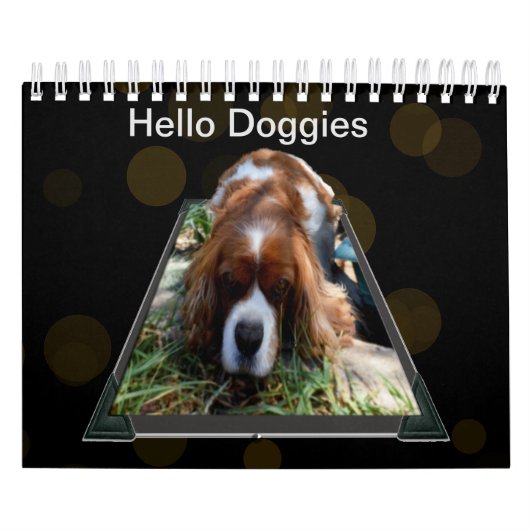 Chiens de races, Calendrier (Protection)
