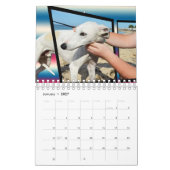 Chiens de races, Calendrier (Jan 2027)