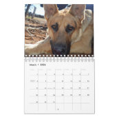 Chiens de races, Calendrier (Mar 2026)