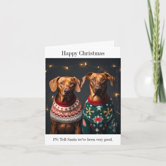 Chiens de Rhodesian Ridgeback heureux carte de Noë (Devant)