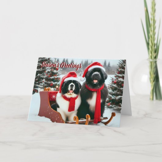 Chiens de Terre-Neuve sur la carte de Noël Sleigh (Devant)