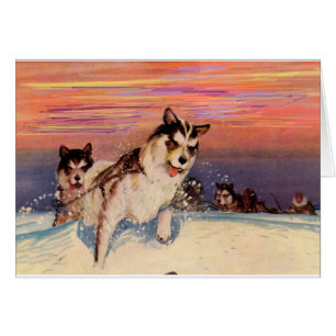 Chiens de traîneau husky sibériens des années 1940